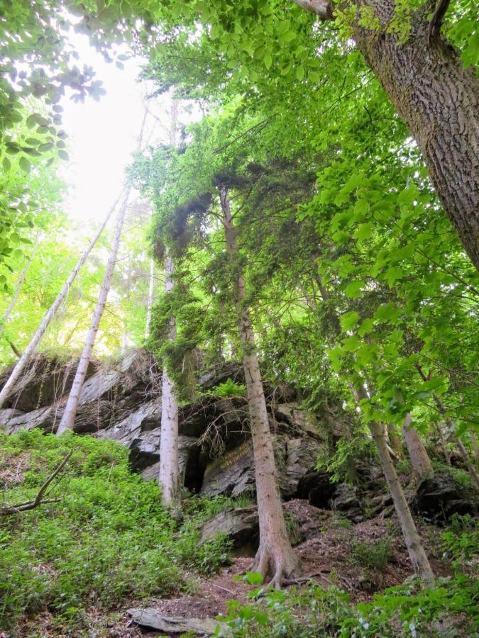 La Roche En Ardenne , Welcome Εξωτερικό φωτογραφία